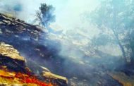 حریق در مناطق جنگلی ایران؛ آتش در اندیکا، بازداشت عاملان آتش‌سوزی خائیز