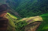 زمین‌خواری با ظاهری کاملا قانونی؛ صدور رای قضایی مبنی بر وقف هزاران هکتار از جنگل‌های شمال ایران
