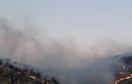 ورود «نهادهای نظارتی» به موضوع آتش‌سوزی جنگل‌ها در ایران