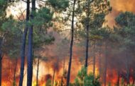 طی ۵ ماه بیش از ۲ هزار مرتع و جنگل در ایران آتش‌ گرفته‌اند