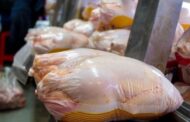 قیمت مرغ در ایران ظرف یک روز بیش از ۵۰ درصد گران شد