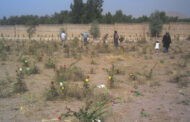 «منع بهائیان» از دفن مردگان در بخشی از گورستان خاوران