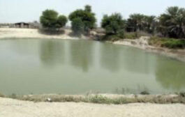 غرق شدن یک کودک در گودال ذخیره آب در شهرستان دشتیاری