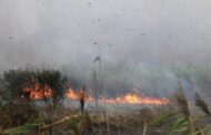 گسترش آتش‌سوزی درر «به دلیل عدم امکان دسترسی»