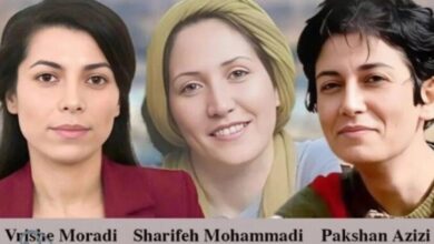 اعطای شهروندی