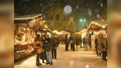 مهاجران مسلمان