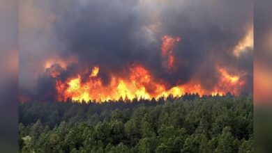 شاهزاده پهلوی