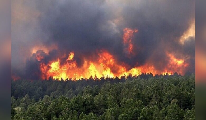 شاهزاده پهلوی