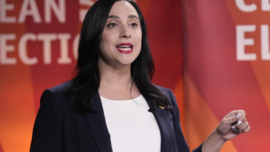 یاسمین انصاری