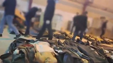 سوله‌های_پرازجسد