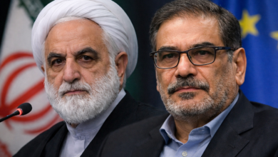 تروریسم سیاسی