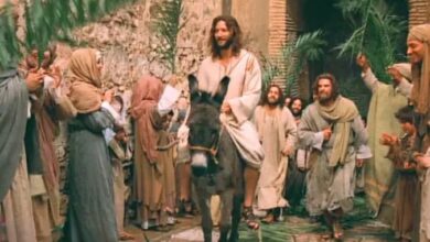 لغو راهپیمایی یکشنبه نخل