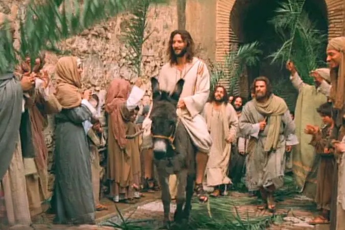 لغو راهپیمایی یکشنبه نخل