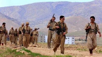 پنهان‌کاری در لباس پَر