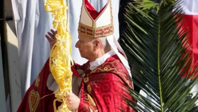 پادشاه صلح در برابر طوفان جنگ