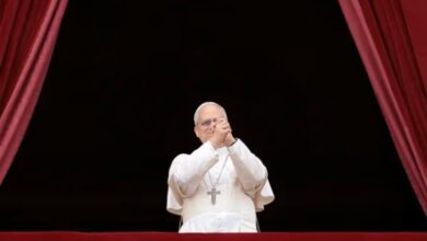 دعوت پاپ لئو چهاردهم