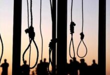 افشای رکورد مرگ