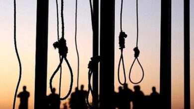 افشای رکورد مرگ