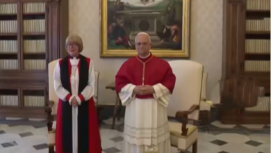 پاپ لئو چهاردهم