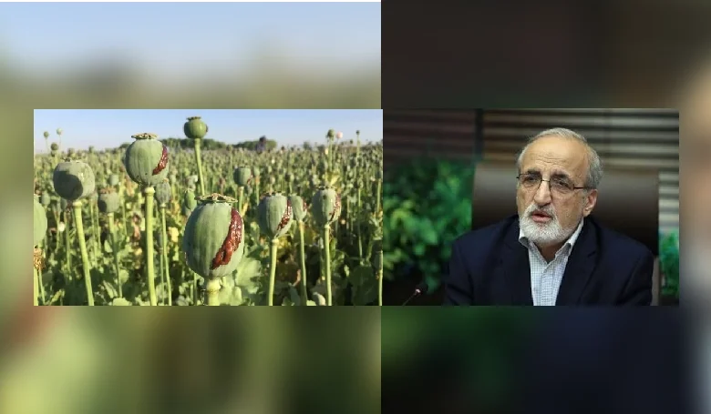دکتر ملکزاده