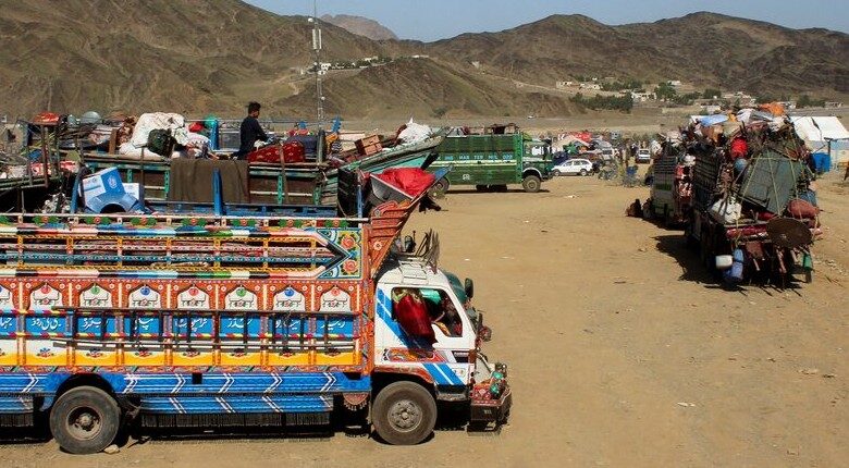اخراج افغانها