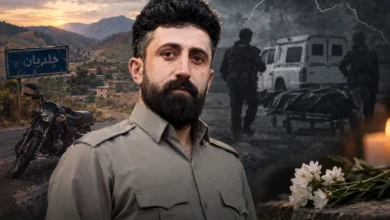 علی اسلوب