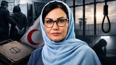 مژده هاشمیبازرگانی